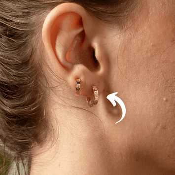 Cartier Earrings Tagged clip earring Gold Zone Jewelry