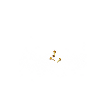 Real Gold 2 MM Stone Studs with Long Screw Tops Perfect for Ear and Nose Piercings E1900